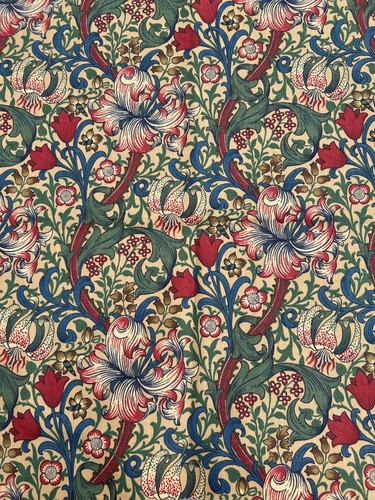 Sanderson golden lily - sanderson,