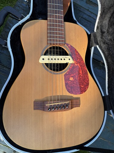 Martin lx1 little - ,, lr