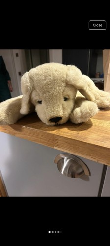 Andrex puppy zip - andrex,