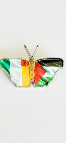 Palestine irish pin badge - ,