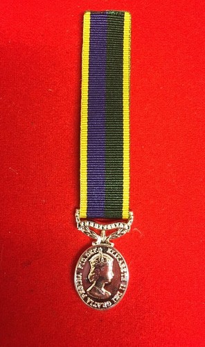 Territorial efficiency medal - efficiency,