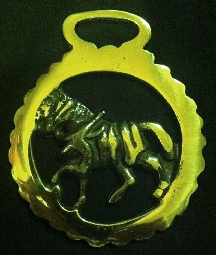 Trotting harness horse - trotting,