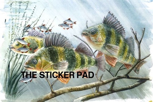Vinyl sticker perch - vinyl,