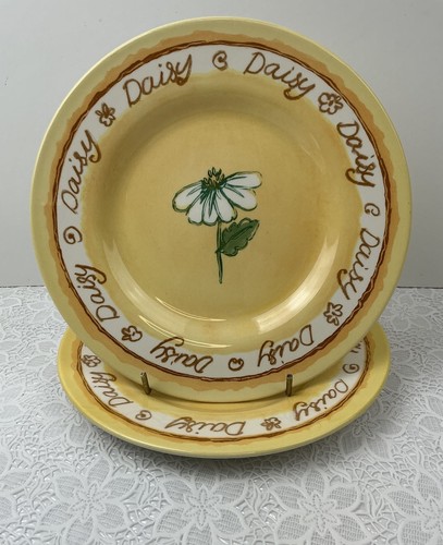 Royal stafford daisy - stafford, x