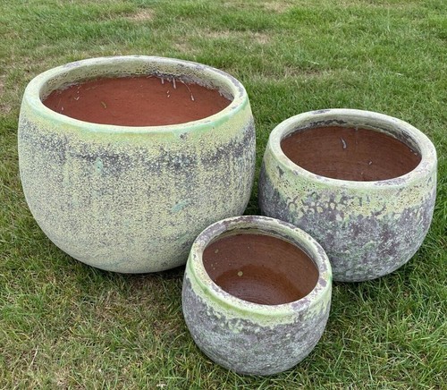 Clay planters plant - clay, flower