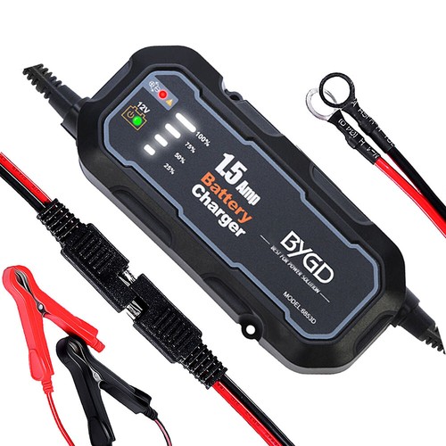 Sae smart car battery - car, charger