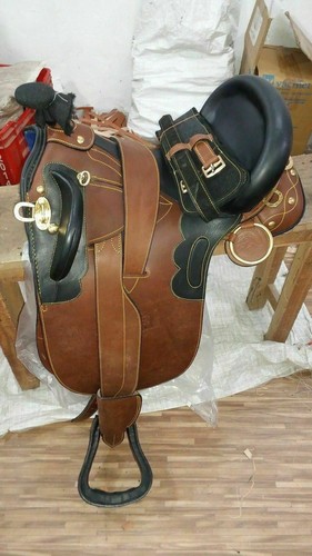 Australian stock horse - australian,