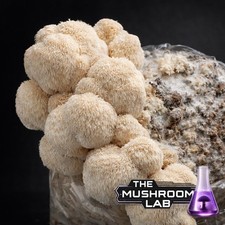 Mix & Match Liquid Culture