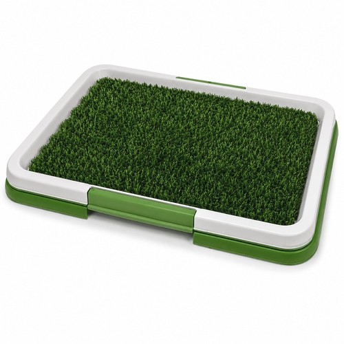 Indoor puppy training pad - indoor, dog