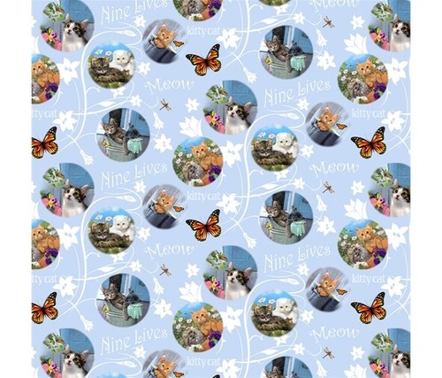 Cat kitten fabric - kitten,