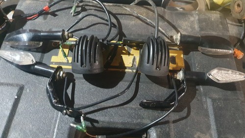 Quadzilla dinli 450r - quadzilla,