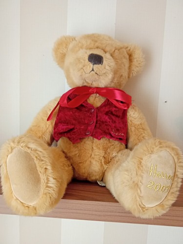 Harrods teddy bear plush - teddy,
