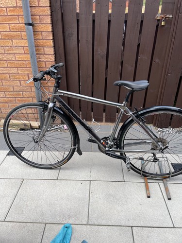 Ridgeback supernova small - ridgeback,