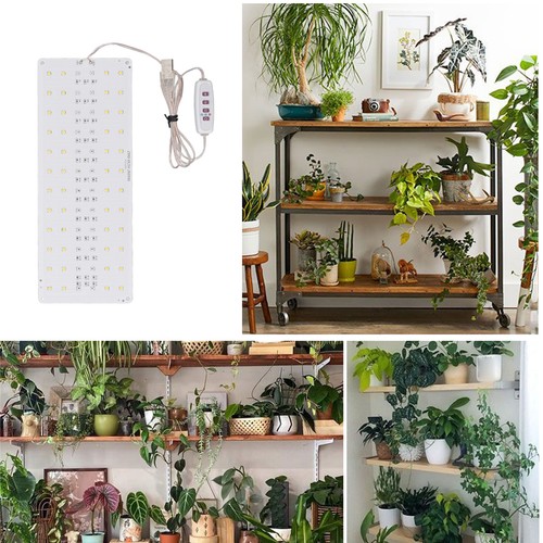 Under cabinet grow - under, light