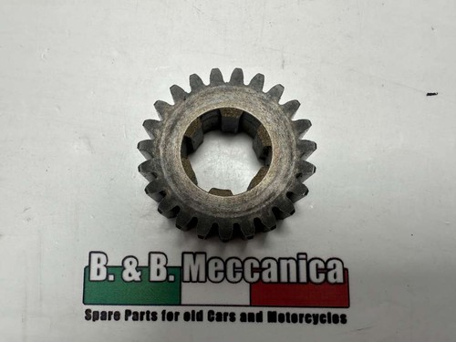 Gearwheel wheel gear freewheel - gearwheel,
