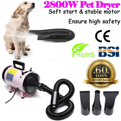Dog cat pet 2800w - pet, stepless