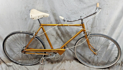 1972 raleigh sports - 1972, vintage