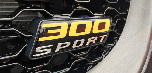 Jaguar 2015 2019 300 - 2015-2019, sport