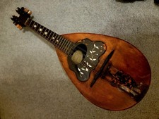 Stunning Bowl Back Mandolin
