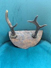 Vintage Deer Antlers Mounted