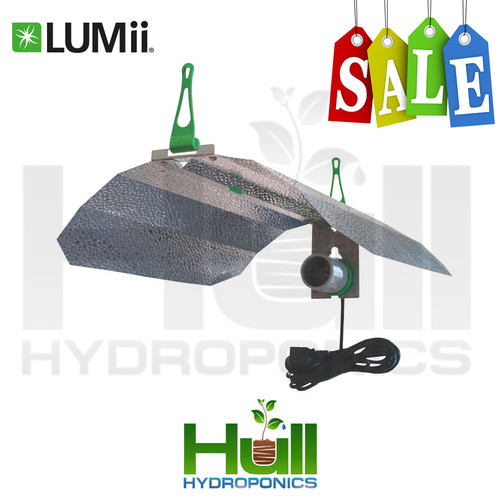 Lumii maxii dutch - lumii, barn