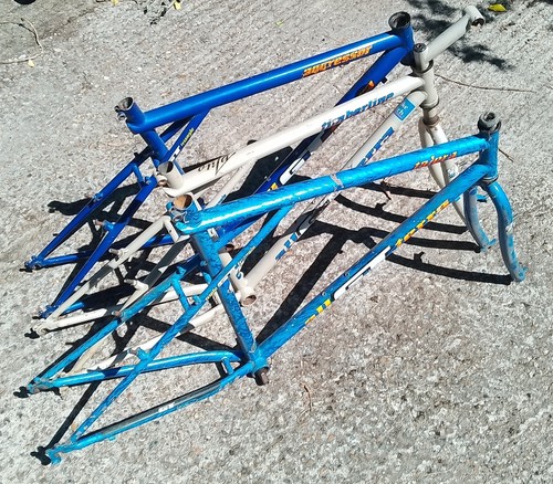 Job lot gt - ,