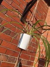 Macrame Bead Plant Hanger