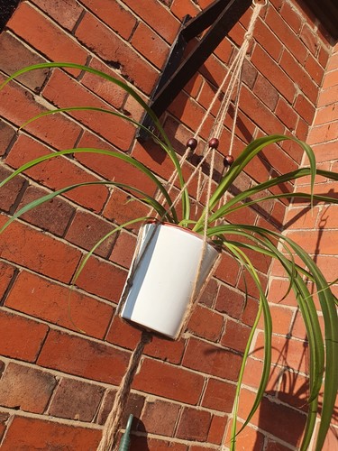Macrame bead plant - macrame,