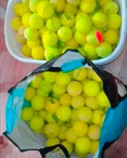 50 Tennis Balls ( Sold For The