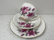 Royal Stafford Evesham Pink