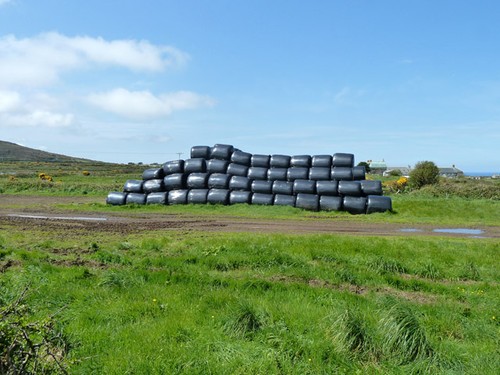 Photo 6x4 silage bales - silage,