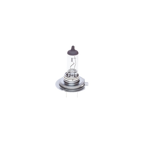 55w 12v 499 for bmw - 12v,