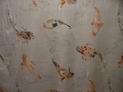 Voyage maison koi carp - voyage, amber