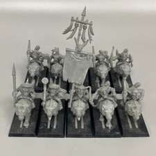 10 GOBLIN WOLF RIDERS REGIMENT