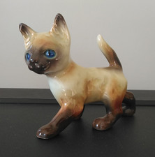 Vintage Siamese Kitten