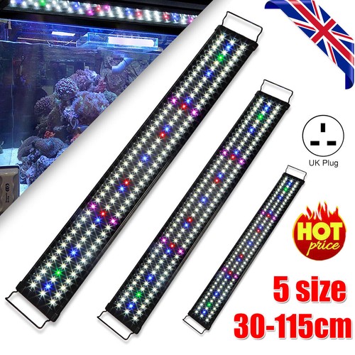 Aquarium fish tank led - aquarium,