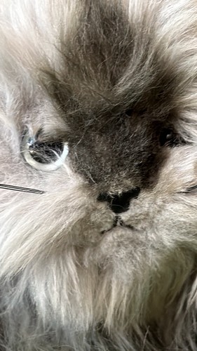 Classic smokey grey - “smokey”,