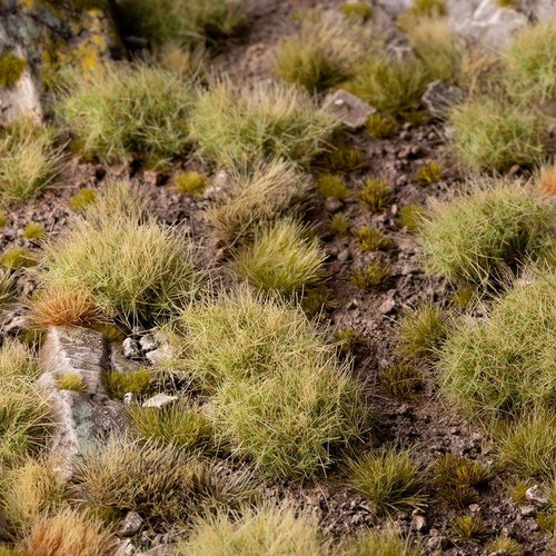 Gamers grass wild tuft - grass,