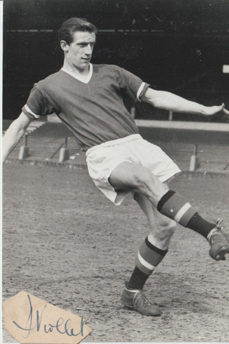 Busby babe hand signed - busby, glossy