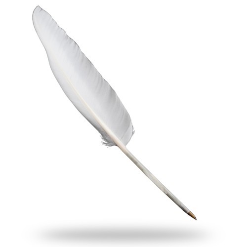 Fancy white goose feather pen - white,
