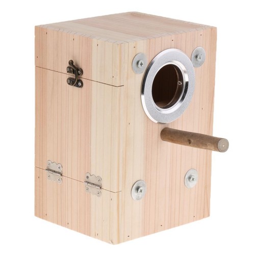 Parakeet nest box - parakeet, box,