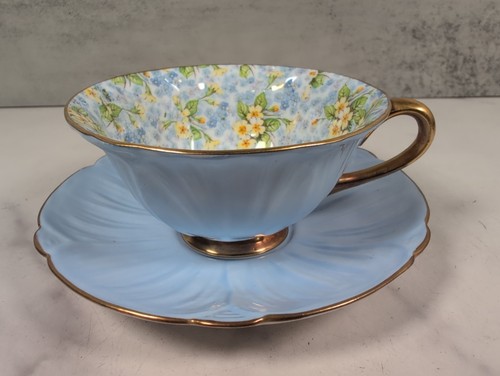 Shelley fine bone china blue - bone,