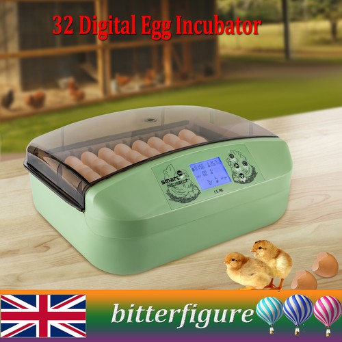 Digital egg incubator - egg,