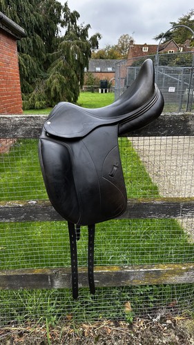Amerigo pinerolo dressage - amerigo,