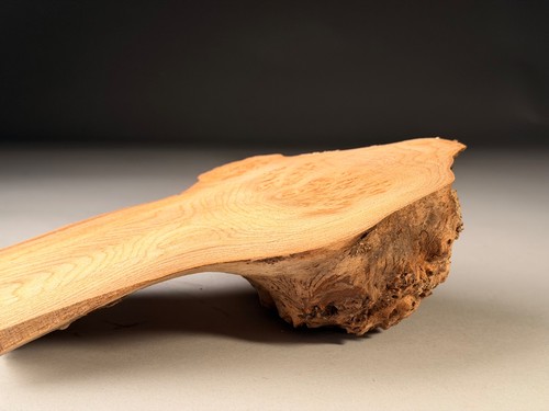 Cap burr elm - burr, edge