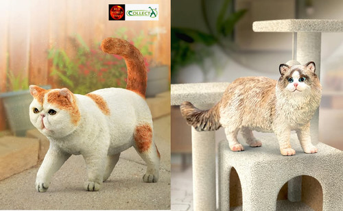 Cat breeds toy model - breeds,