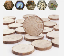 Real Wood Slices - ✅ Many