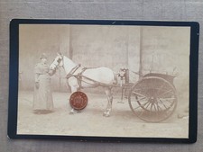 Lady with Horse and Trap/Cart