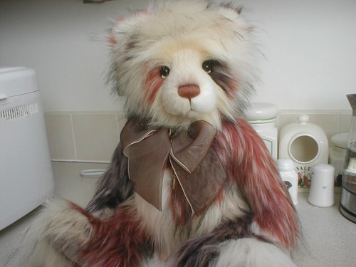 Charlie bears big brother - bears,