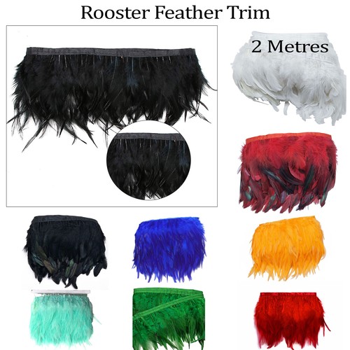 Metres rooster tail feathers - 2,